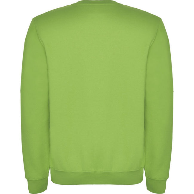 Oasis Green - Back - Roly Childrens-Kids Clasica Crew Neck Sweatshirt