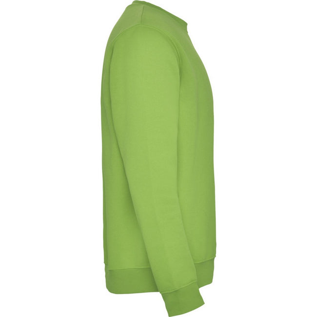 Oasis Green - Side - Roly Childrens-Kids Clasica Crew Neck Sweatshirt
