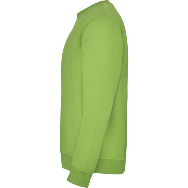 Oasis Green - Lifestyle - Roly Childrens-Kids Clasica Crew Neck Sweatshirt