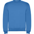 Ocean Blue - Front - Roly Childrens-Kids Clasica Crew Neck Sweatshirt