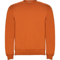Orange - Front - Roly Childrens-Kids Clasica Crew Neck Sweatshirt