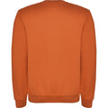 Orange - Back - Roly Childrens-Kids Clasica Crew Neck Sweatshirt