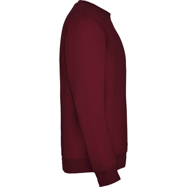 Garnet - Side - Roly Childrens-Kids Clasica Crew Neck Sweatshirt
