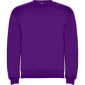Purple - Front - Roly Childrens-Kids Clasica Crew Neck Sweatshirt