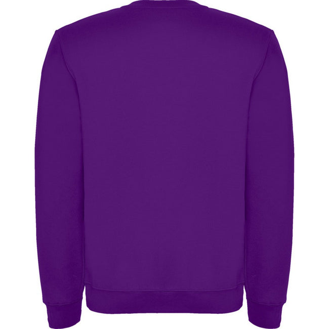 Purple - Back - Roly Childrens-Kids Clasica Crew Neck Sweatshirt