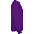 Purple - Side - Roly Childrens-Kids Clasica Crew Neck Sweatshirt