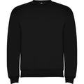 Solid Black - Front - Roly Childrens-Kids Clasica Crew Neck Sweatshirt