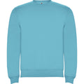 Turquoise - Front - Roly Childrens-Kids Clasica Crew Neck Sweatshirt