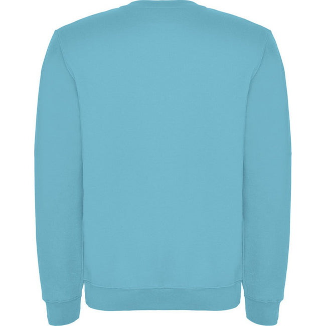 Turquoise - Back - Roly Childrens-Kids Clasica Crew Neck Sweatshirt