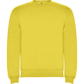 Yellow - Front - Roly Childrens-Kids Clasica Crew Neck Sweatshirt