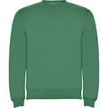 Kelly Green - Front - Roly Childrens-Kids Clasica Crew Neck Sweatshirt