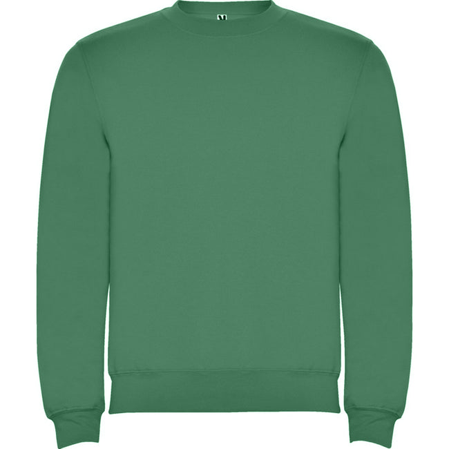 Kelly Green - Front - Roly Childrens-Kids Clasica Crew Neck Sweatshirt