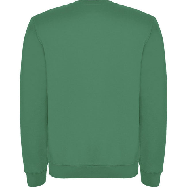 Kelly Green - Back - Roly Childrens-Kids Clasica Crew Neck Sweatshirt