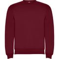 Garnet - Front - Roly Childrens-Kids Clasica Crew Neck Sweatshirt