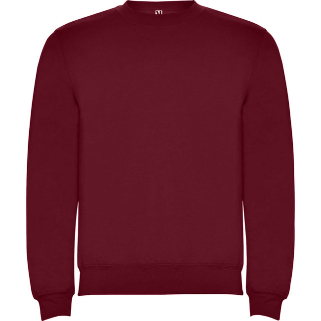 Garnet - Front - Roly Childrens-Kids Clasica Crew Neck Sweatshirt