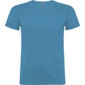 Turquoise - Front - Roly Mens Beagle Short-Sleeved T-Shirt