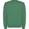 Kelly Green - Back - Roly Unisex Adult Clasica Crew Neck Sweatshirt