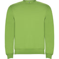 Oasis Green - Front - Roly Unisex Adult Clasica Crew Neck Sweatshirt