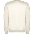 Vintage White - Back - Roly Unisex Adult Clasica Crew Neck Sweatshirt