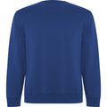 Royal Blue - Front - Roly Unisex Adult Batian Crew Neck Sweatshirt