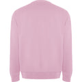 Light Pink - Back - Roly Unisex Adult Batian Crew Neck Sweatshirt