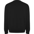 Solid Black - Back - Roly Unisex Adult Batian Crew Neck Sweatshirt