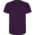 Purple - Back - Roly Mens Stafford T-Shirt