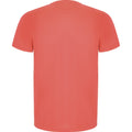 Fluorescent Coral - Back - Roly Childrens-Kids Imola Short-Sleeved Sports T-Shirt