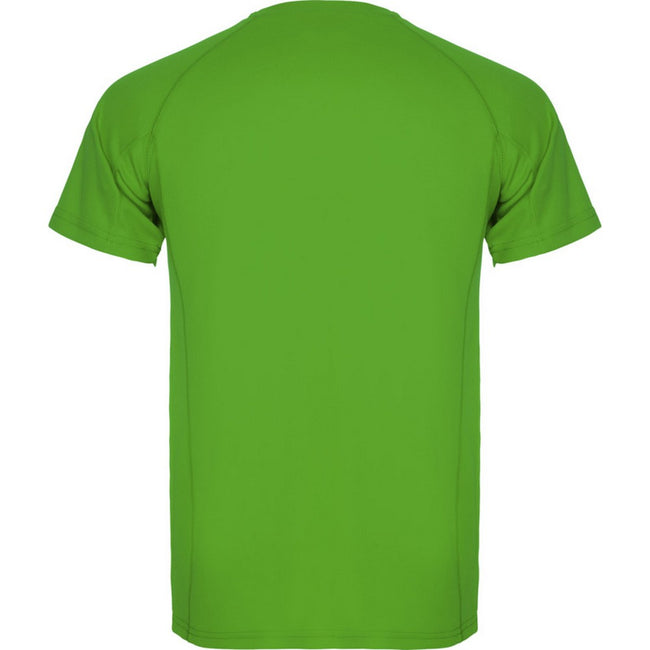 Fern Green - Back - Roly Mens Montecarlo Short-Sleeved Sports T-Shirt