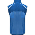 Royal Blue - Back - Roly Unisex Adult Jannu Lightweight Running Body Warmer