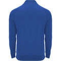 Royal Blue - Back - Roly Unisex Adult Epiro Quarter Zip Long-Sleeved Sweatshirt