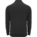 Solid Black - Back - Roly Unisex Adult Epiro Quarter Zip Long-Sleeved Sweatshirt