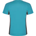 Turquoise-Dark Lead - Back - Roly Mens Shanghai Short-Sleeved Sports T-Shirt