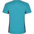 Turquoise-Dark Lead - Back - Roly Childrens-Kids Shanghai Short-Sleeved Sports T-Shirt
