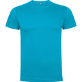 Turquoise - Front - Roly Childrens-Kids Dogo T-Shirt