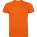 Orange - Front - Roly Childrens-Kids Dogo T-Shirt