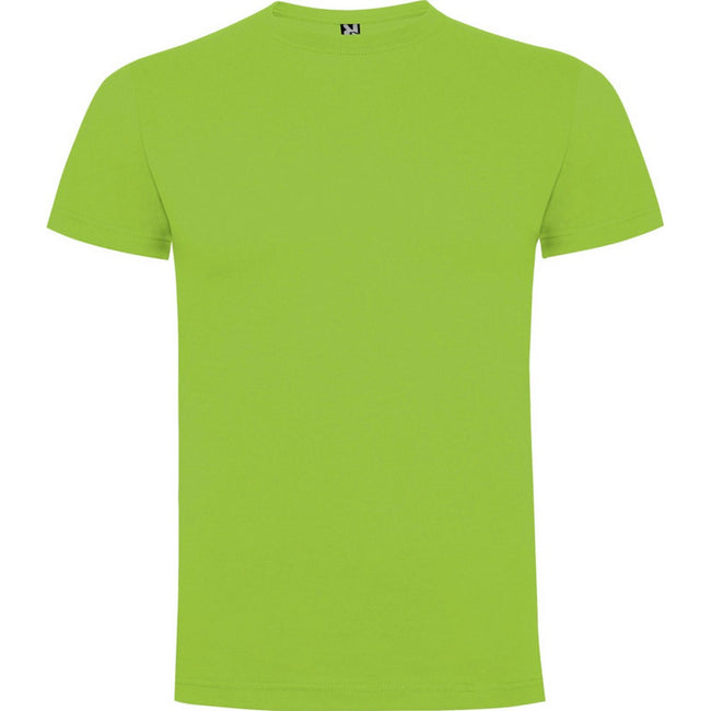 Oasis Green - Front - Roly Childrens-Kids Dogo T-Shirt