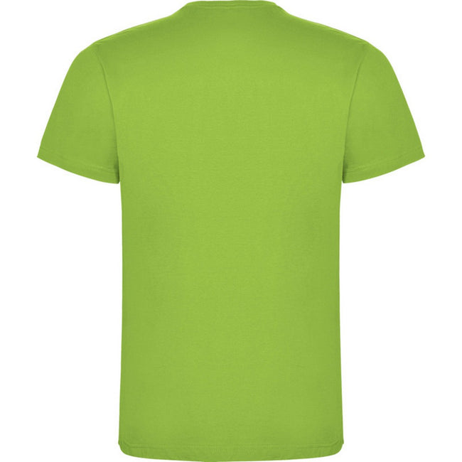Oasis Green - Back - Roly Childrens-Kids Dogo T-Shirt
