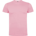 Light Pink - Front - Roly Childrens-Kids Dogo T-Shirt