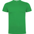 Irish Green - Front - Roly Childrens-Kids Dogo T-Shirt