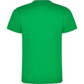 Irish Green - Back - Roly Childrens-Kids Dogo T-Shirt