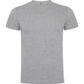 Grey Marl - Front - Roly Childrens-Kids Dogo T-Shirt