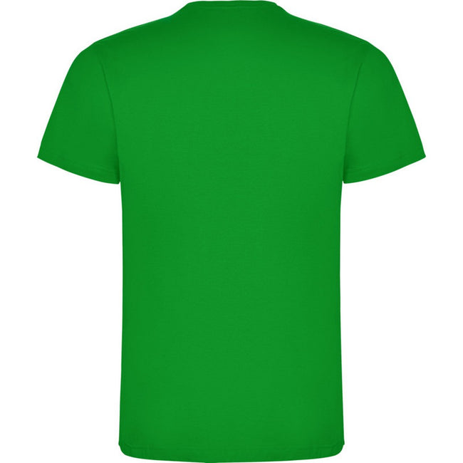 Grass Green - Back - Roly Childrens-Kids Dogo T-Shirt