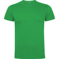 Irish Green - Front - Roly Mens Dogo Premium T-Shirt