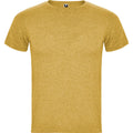 Heather Mustard - Front - Roly Mens Fox Heather Short-Sleeved T-Shirt