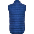 Electric Blue - Back - Roly Childrens-Kids Oslo Insulated Body Warmer
