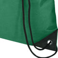 Green - Back - Evergreen Recycled 5L Plain Drawstring Bag