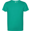 Jade Green - Back - Roly Mens Estoril Short-Sleeved T-Shirt
