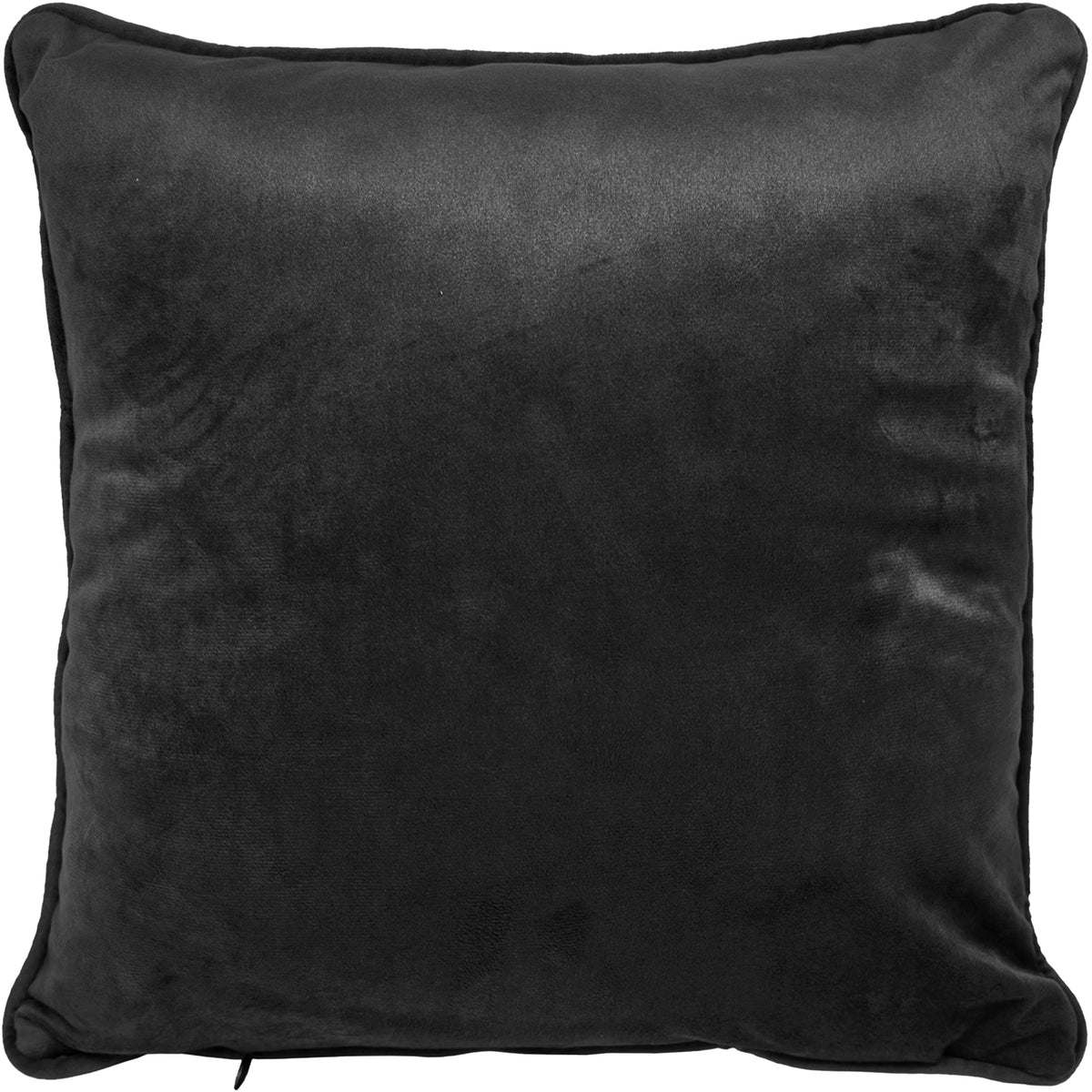 Black-White - Back - John James Audubon Hutchin Barnacle Goose Filled Cushion