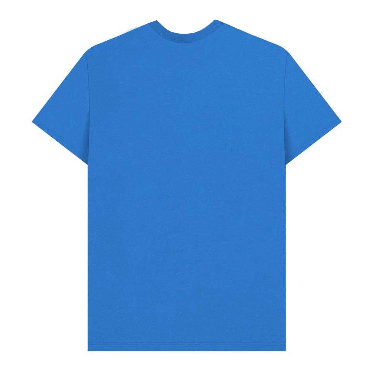 Bright Blue - Back - Wallace and Gromit Unisex Adult Feathers McGraw Pose T-Shirt
